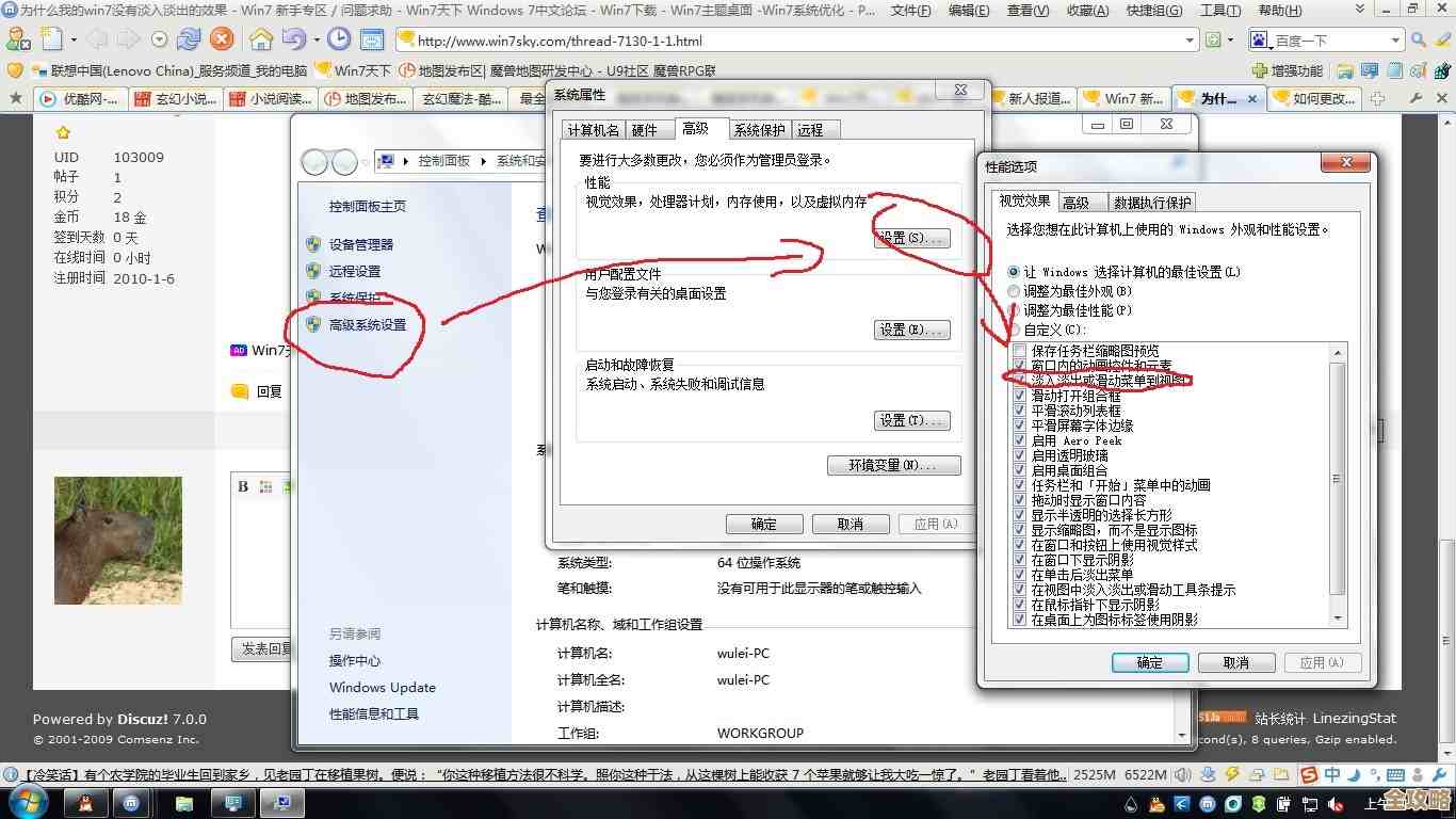 探索Win11高效办公：窗口布局与虚拟桌面玩法全解析
